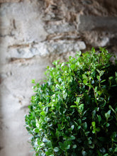 products/IMG_4766.jpg